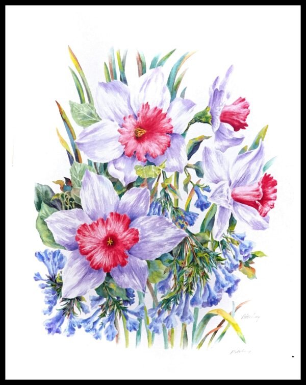 AIM 478 Solitude II (S/N LIMITED EDITION)